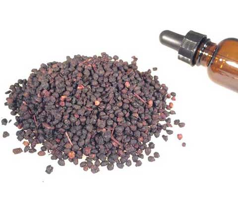 elderberry syrup uses