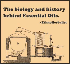history essential oils