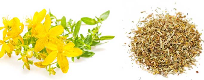 best brands of st johns wort